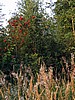 digital_005.jpg (128&nbsp;KB)