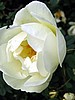 digital_009.jpg (42&nbsp;KB)
