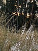 digital_010.jpg (112&nbsp;KB)