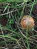 digital_014.jpg (108&nbsp;KB)