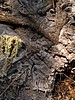digital_026.jpg (115&nbsp;KB)