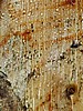 digital_027.jpg (100&nbsp;KB)