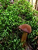 digital_029.jpg (116&nbsp;KB)