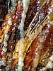digital_030.jpg (99&nbsp;KB)