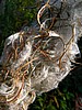 digital_032.jpg (82&nbsp;KB)