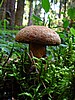 digital_034.jpg (87&nbsp;KB)
