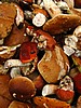 digital_049.jpg (86&nbsp;KB)