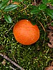 digital_050.jpg (107&nbsp;KB)