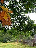 digital_055.jpg (112&nbsp;KB)