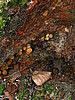 digital_059.jpg (118&nbsp;KB)