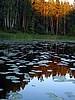digital_060.jpg (81&nbsp;KB)