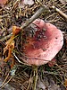 digital_068.jpg (114&nbsp;KB)