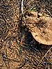 digital_069.jpg (136&nbsp;KB)