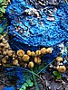 digital_073.jpg (126&nbsp;KB)