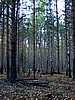 digital_074.jpg (131&nbsp;KB)