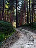 digital_075.jpg (103&nbsp;KB)