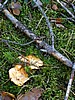 digital_076.jpg (119&nbsp;KB)