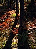 digital_077.jpg (100&nbsp;KB)