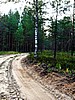 digital_079.jpg (111&nbsp;KB)
