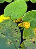 digital_091.jpg (74&nbsp;KB)