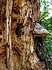 digital_093.jpg (114&nbsp;KB)