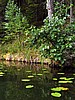 digital_094.jpg (112&nbsp;KB)