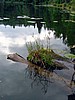 digital_095.jpg (67&nbsp;KB)
