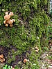 digital_097.jpg (133&nbsp;KB)