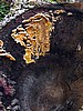 digital_099.jpg (116&nbsp;KB)