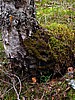 digital_103.jpg (143&nbsp;KB)