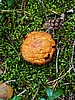 digital_104.jpg (131&nbsp;KB)