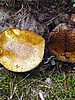 digital_106.jpg (119&nbsp;KB)
