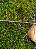 digital_108.jpg (124&nbsp;KB)
