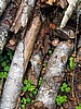 digital_112.jpg (113&nbsp;KB)