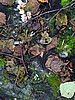 digital_114.jpg (117&nbsp;KB)