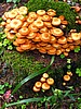 digital_115.jpg (121&nbsp;KB)