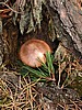 digital_127.jpg (134&nbsp;KB)