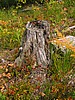 digital_128.jpg (132&nbsp;KB)