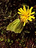 digital_130.jpg (68&nbsp;KB)
