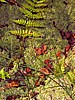 digital_137.jpg (137&nbsp;KB)
