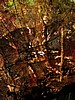 digital_138.jpg (108&nbsp;KB)