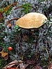 digital_139.jpg (127&nbsp;KB)