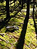 digital_140.jpg (128&nbsp;KB)