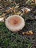 digital_146.jpg (118&nbsp;KB)