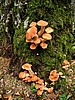 digital_151.jpg (124&nbsp;KB)