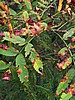digital_154.jpg (98&nbsp;KB)