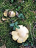 digital_157.jpg (132&nbsp;KB)
