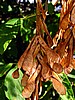 print_050.jpg (78&nbsp;KB)