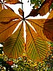 print_059.jpg (102&nbsp;KB)