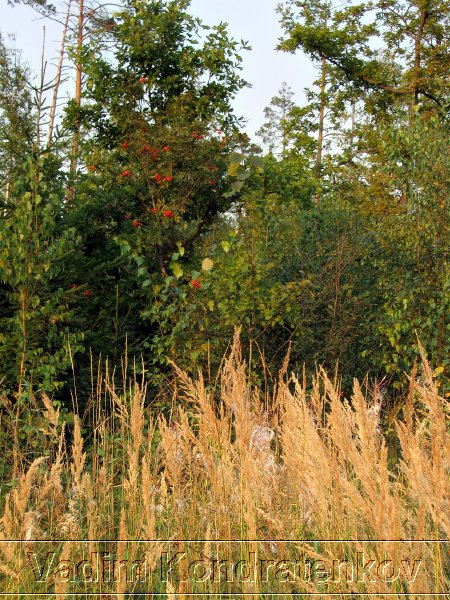 foto_001.jpg